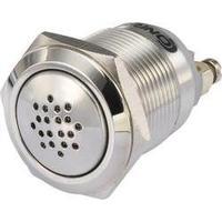 Conrad Components GQ19B-JM/12V buzzer