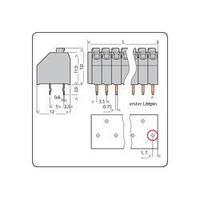 Conductor board terminal series 250 250-209 CAGE CLAMP® S 8 A