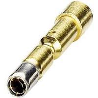 Coninvers 1605481 SF-10KS010 Gold