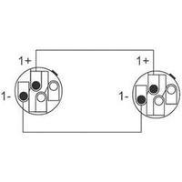 Cordial CPL 3 LL 2 Speakon-Speakon Cable (3 m) Black