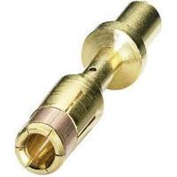Coninvers 1605758 SM-36KS002 Gold