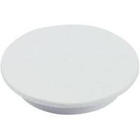 Cover White Suitable for K12 rotary knob Cliff CL177752 1 pc(s)