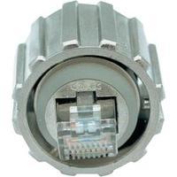 Conec 17-10001 RJ45 Plug, straight