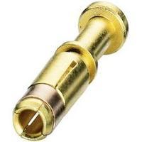 Coninvers 1607657 ST-20KS010 Crimp Contact For Series P20 Gold