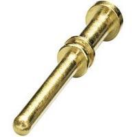 Coninvers 1605639 SF-7QP2000 Gold