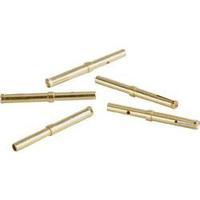 Connector pin AWG (min.): 22 AWG max.: 22 Brass 3 A Conec 161A18009X 1 pc(s)