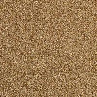 Colours Palermo Brown Carpet (W)4m