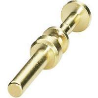 Coninvers 1605744 SM-36KP002 Gold