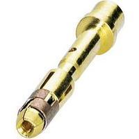 Coninvers 1605566 SF-6FS2000 Gold