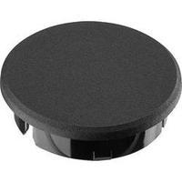 Cover Black Ritel 30 28 10 3 1 p...