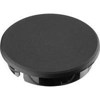 Cover Black Ritel 30 36 10 3 1 p...