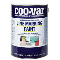 coo var low odour line marking paint yellow 5l