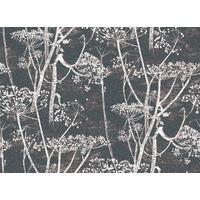 Cole & Son Wallpapers Cow Parsley, 66-7046