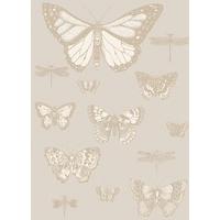 Cole & Son Wallpapers Butterflies and Dragonflies, 103/15064
