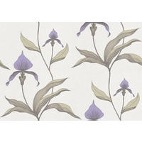 Cole & Son Wallpapers Orchid, 66-4024