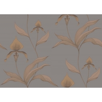 Cole & Son Wallpapers Orchid, 95/10056