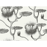 Cole & Son Wallpapers Lily, 95/4020