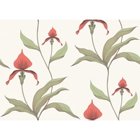 Cole & Son Wallpapers Orchid, 95/10054