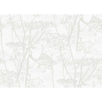 cole amp son wallpapers cow parsley 959052