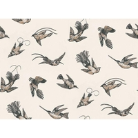 Cole & Son Wallpapers Tropical Birds, 89/1001