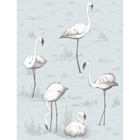 Cole & Son Wallpapers Flamingos, 95/8047