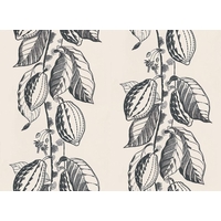 Cole & Son Wallpapers Cocoa, 89/11043