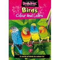 Colour And Learn Birds Colouring Book