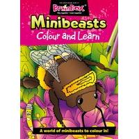 colour and learn minibeasts colouring book