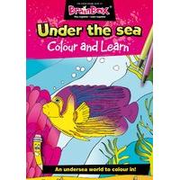 Colour And Learn Under The Sea Colouring Book