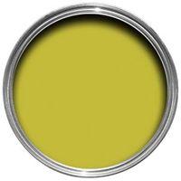 colours interior lime satin emulsion paint 750ml