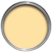 Colours Lemon Ice Matt Emulsion Paint 50ml Tester Pot