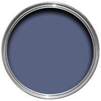 colours premium blue thistle silk emulsion paint 25l