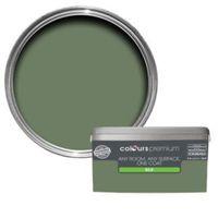 Colours Premium Lily Pad Silk Emulsion Paint 2.5L