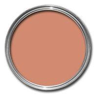 Colours Premium Terracotta Matt Emulsion Paint 50ml Tester Pot