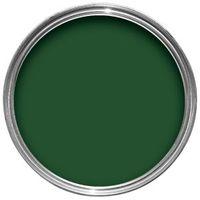 Colours Exterior Buckingham Green Gloss Wood & Metal Paint 2.5L