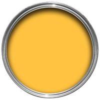 Colours Narcissi Matt Emulsion Paint 50ml Tester Pot