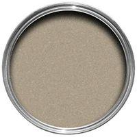 Colours Feature Wall Sand Shimmer Glitter Effect Emulsion Paint 1L