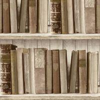 Colours Brown Bookcase Wallpaper