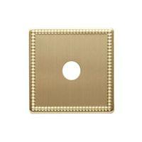 colours brass effect coaxial dimmer switch front plate