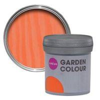 Colours Garden Apricot Matt Woodstain 50ml Tester Pot