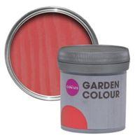 colours garden coral matt woodstain 50ml tester pot