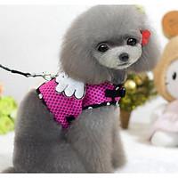 collar leash safety training solid pu leather harness pink blue