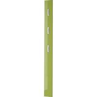 Colorado Coat Rack Wall Mounted In Green High Gloss Front