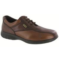 Cotswold Ladies Salford Brown Waterproof Leather Lace Up Shoe 6