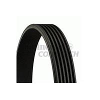 Contitech 6PK1780 V-Ribbed Belts