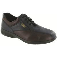 Cotswold Ladies Salford Navy Waterproof Leather Lace Up Shoe 5