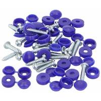 Connect 30336 Number Plate Security Screw - Blue (Pack of 100)