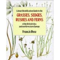 colour identification guide to the grasses sedges rushes and ferns of  ...