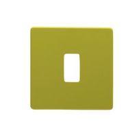 colours lime switch front plate