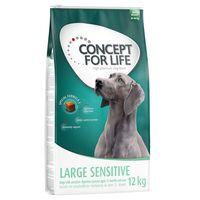 concept for life large sensitive economy pack 2 x 12kg